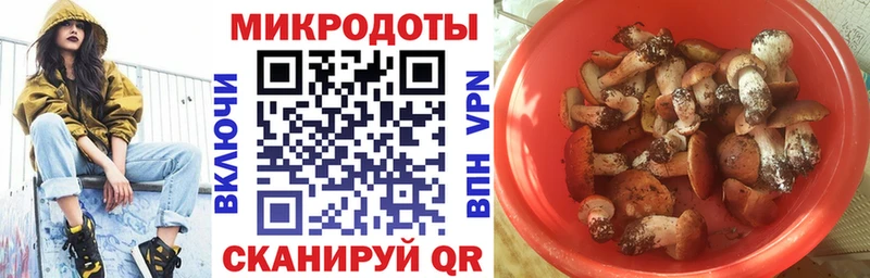 Галлюциногенные грибы ЛСД Новохопёрск